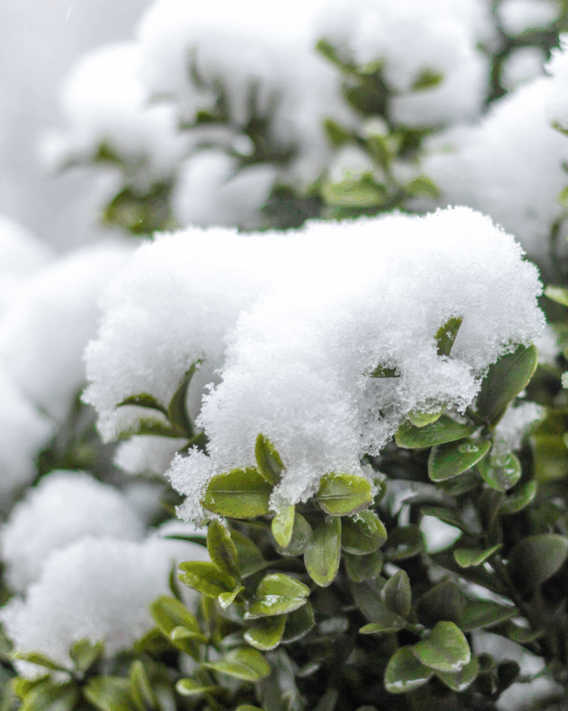 Indoor Activities in the Lake Geneva Area